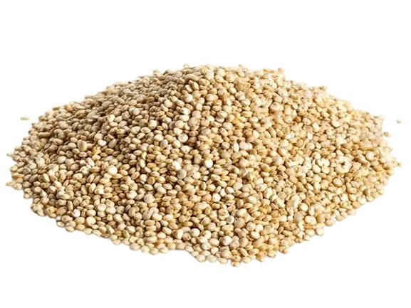 Quinoa Branca em Grão