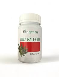 Erva Baleeira 60 c├ípsulas (Fitogreen)