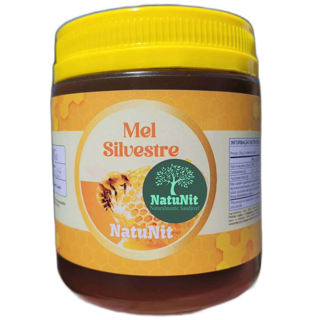 Mel Silvestre 450g (Eco Bee)