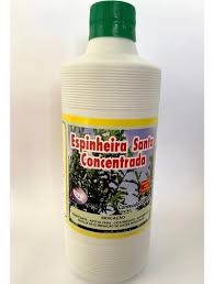 Espinheira Santa Concentrada